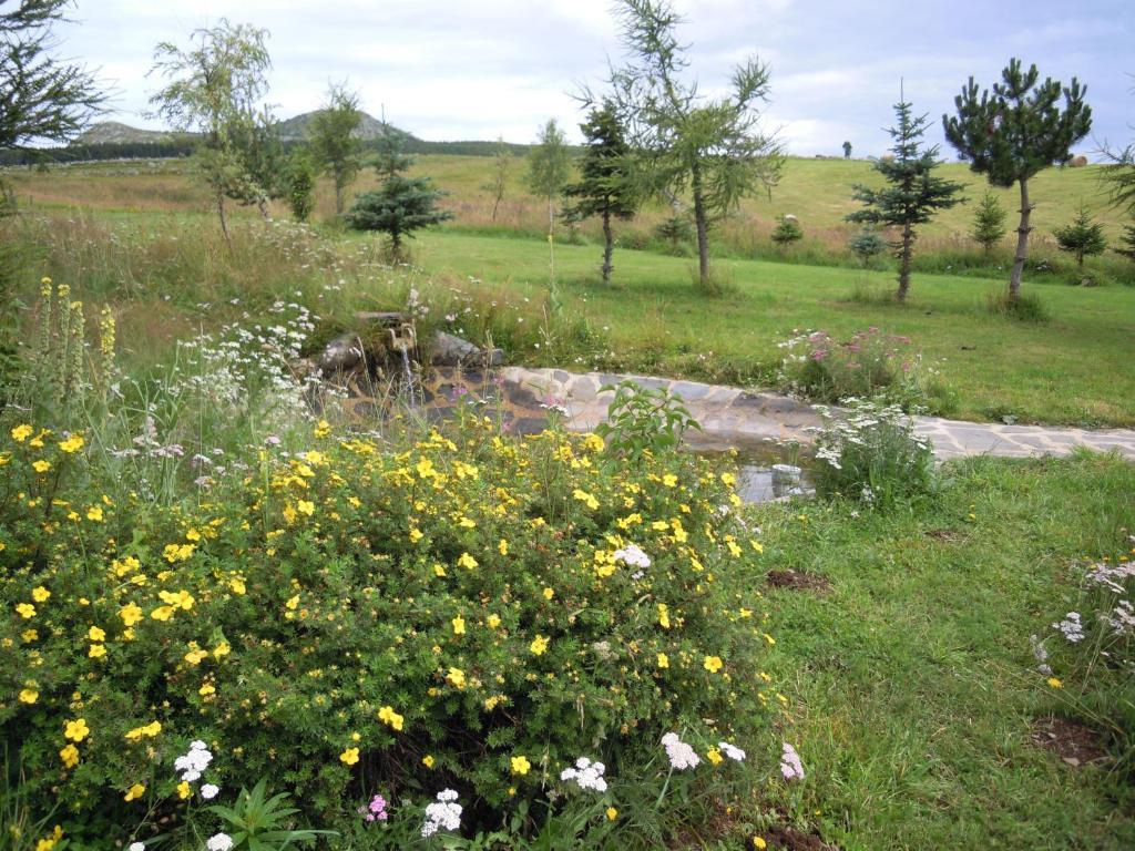 Le Francillon Bed & Breakfast Les Estables Bagian luar foto